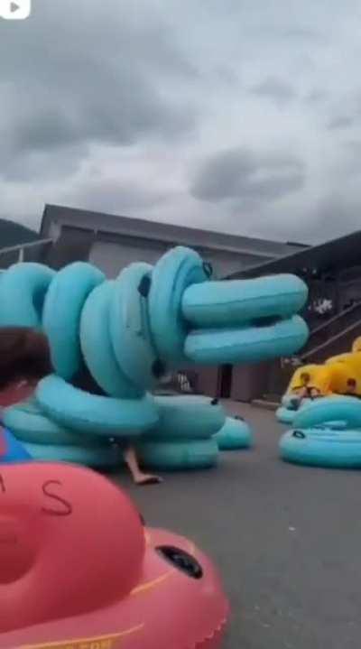 Nmms un nuevo reggi 🤑👌