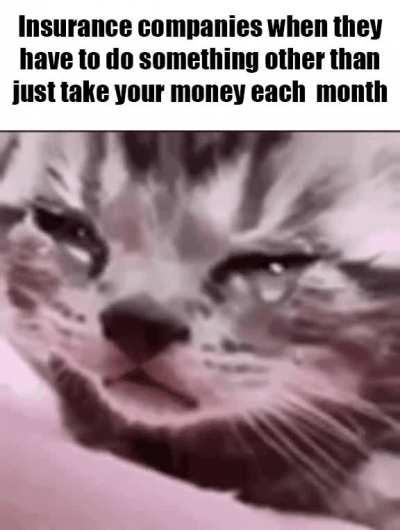 roomba > insurance companies