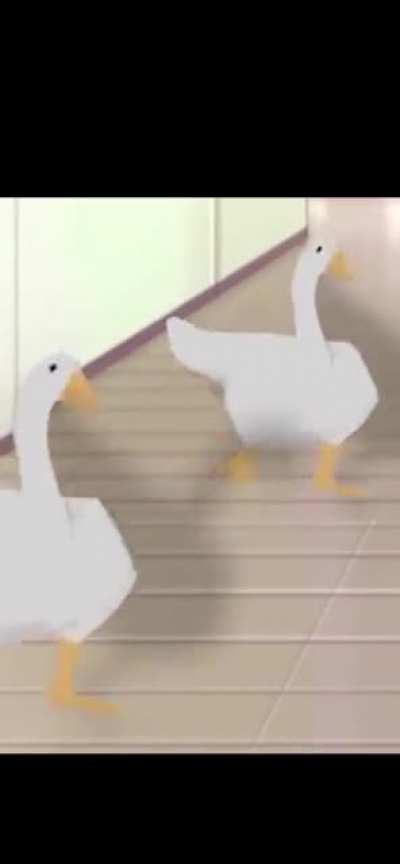 What goes on in my discord server