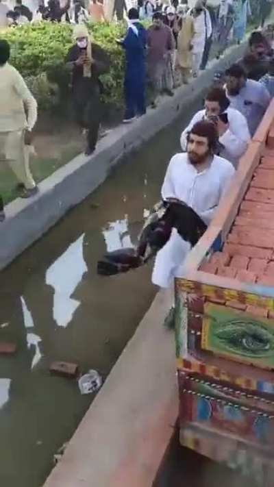 Who let the dogs out in Lahore