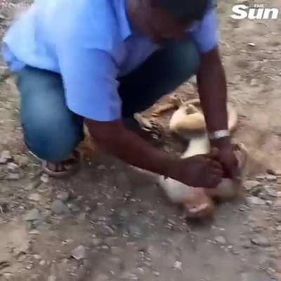 Another one that brightened my day a bit. That beautiful smile at the end !