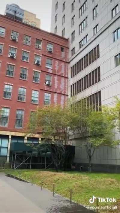 History of the African Burial Ground in NYC