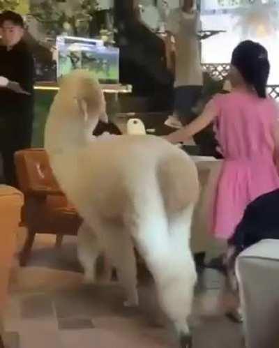 Nope..not you...Hello there..