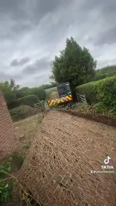 Removing ivy from a house