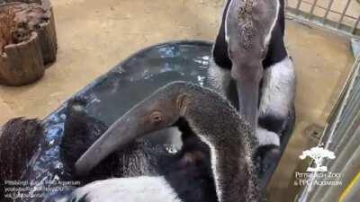 Sharing a bath is never as romantic as it looks in the movies