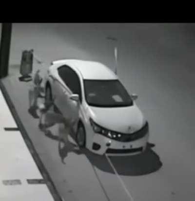 Looking for a cat ? Or just destroying