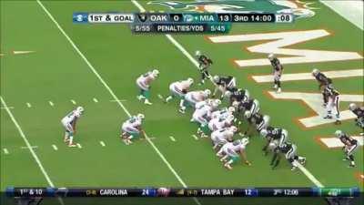 Throwback Highlight - Fins shutdown Carson Palmer and the Raiders for 3 quarters while Reggie Bush runs around with a clean jersey (Dec 2011)