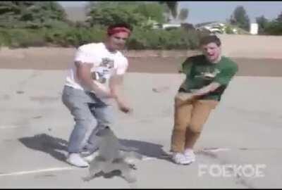 pa up vote pls nakita ko sa discord dont repost