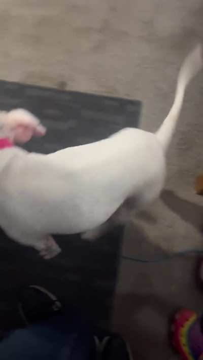 I come to this every day and to is the best thing ever