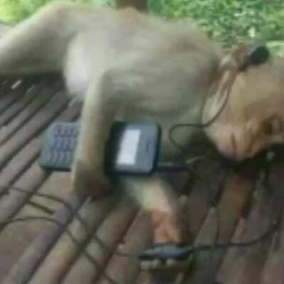 Os normies estão descobrindo o shitpost que tristeza