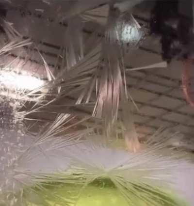 These instant ice crystals (was told to crosspost)