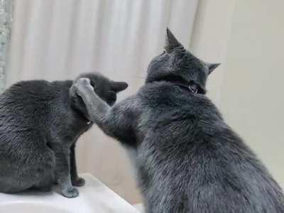 Completely unprompted.