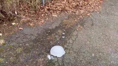 Found a big boi and it took a while