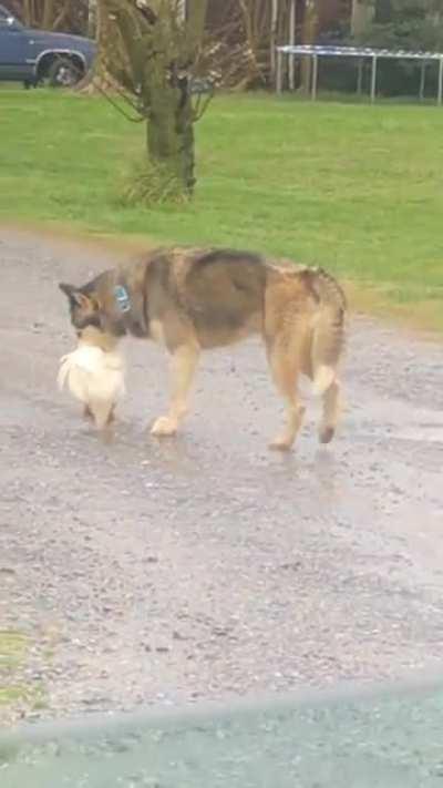 Wasn’t hungry anyways..