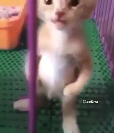 Yo when did he stand up