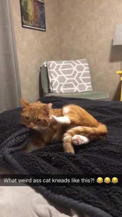 Taking advantage of cake day