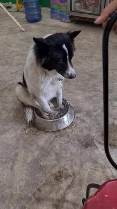 For drink? Nope! For my foot spa :D