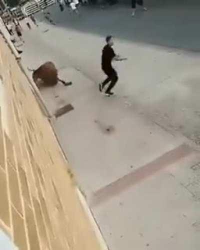 WCGW Pissing off the bulls