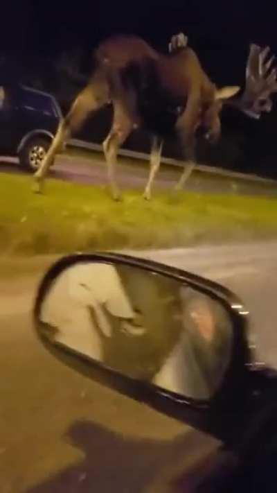 Wait.. Where are your friends?