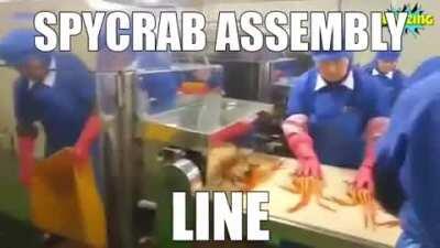 SPYCRAB EXPOSED!! 😳😳