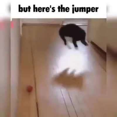 but here's the silly