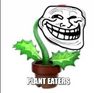 Troll Hawley Troll Hawley Troll Hawley Troll Hawley