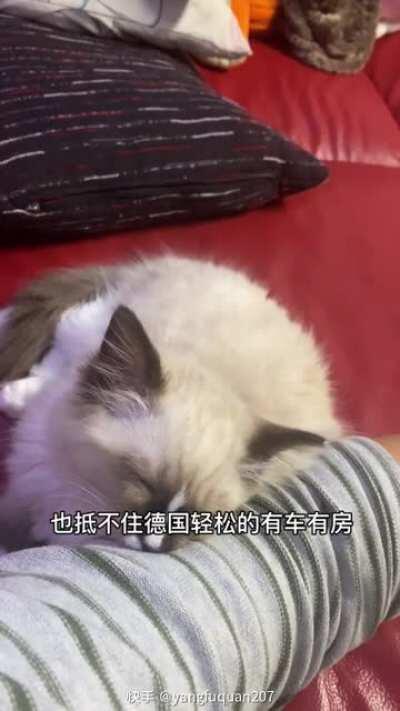 德国怎么样啊？