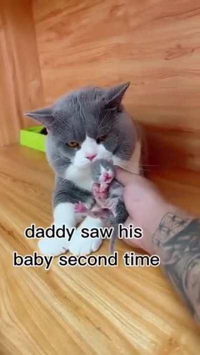 Father's are not born, fathers become.