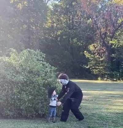 Fight or flight or... friend?