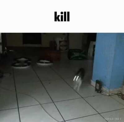 POV: that kid with tusk act 4 on the servers team realized you misclicked him with neutral fists on the zone part