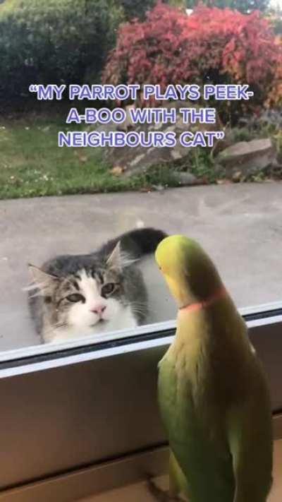 So close, and yet...