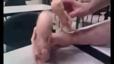 Dont bring these people