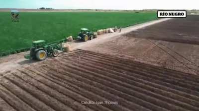 Igual que en china, estan convirtiendo desiertos en zonas cultivables