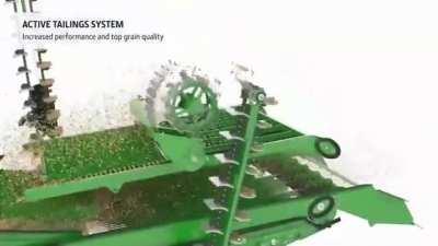 I have severe grain damage