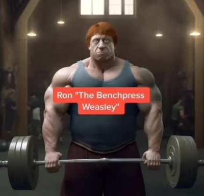 Harry Squatter and the gang