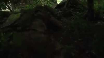 The UK Ministry of Defence has published a video of the Ukrainian military personnel, who arrived just a few weeks ago, training