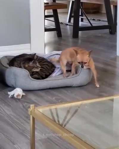 Slowly and carefully