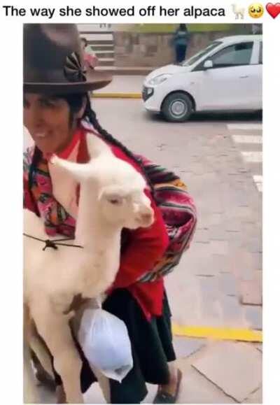 The way she showed off her alpaca