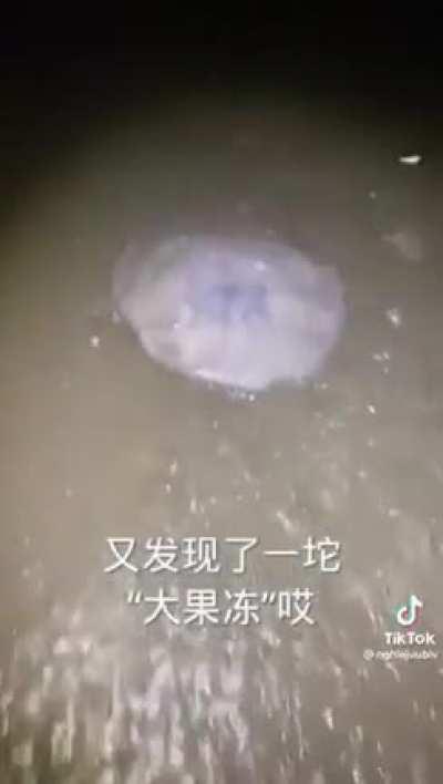 Upvote this I want to see schlatt react