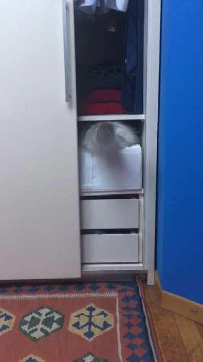 I thought she was aiming for the upper shelf... I was wrong