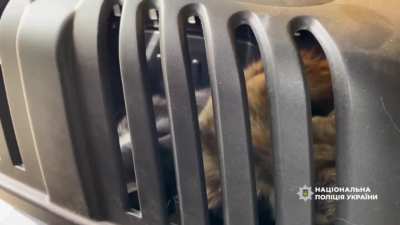 UA POV: The “White Angels” evacuating 7 people and 2 cats from from Lyman. 06.10.2025