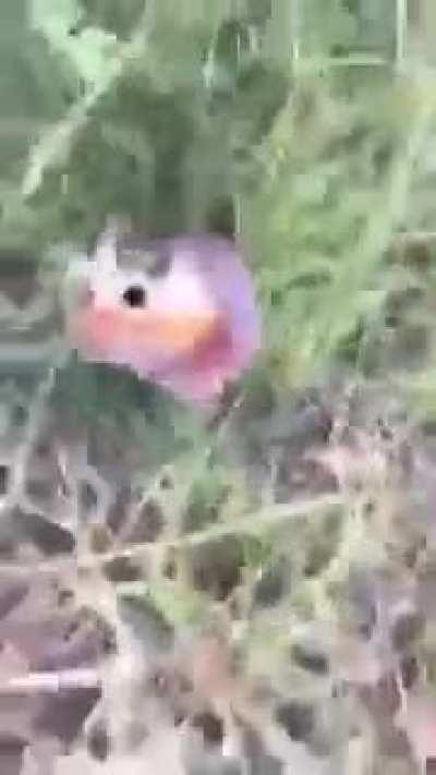 AAAAAAAAAAAAAAAAAAAAAAAAAAAAAAAAAAAAAAAAAAAAAAAAAAAAAAAAAAAAAAAAAAAAAAAAAAAAAAAAAAAAAAAAAAAAAAAAAAAAAAAAAAAAAAAAAAAAAAAAAAAAA