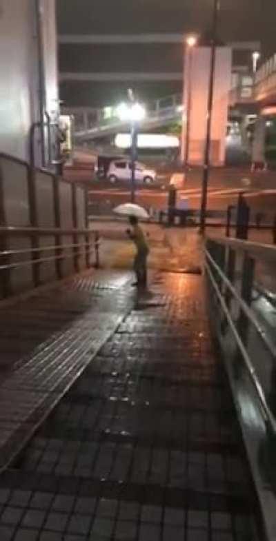 Trying to Surf Down a Staircase