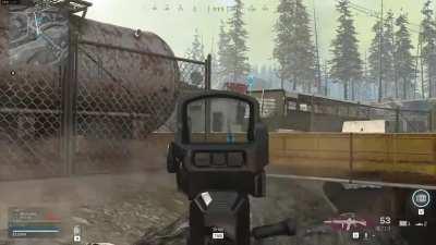 I think I've killed a seagull