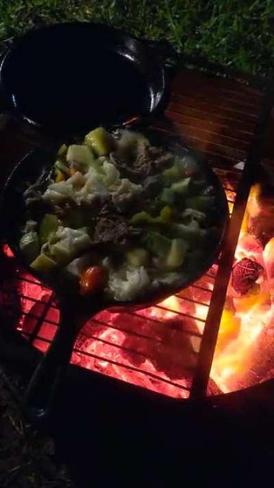 sabado de frio, asi que puse el fogon y me hice un humilde estofado a la cazadora. (receta en comentarios)