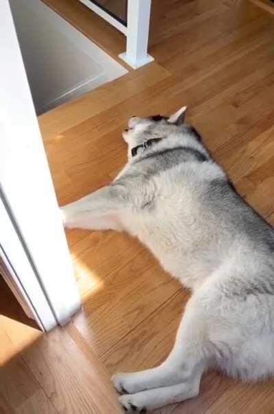 Когда эти сраные мешки просто начнут давать еду. Зааа-аауууу-ииии-балиии.