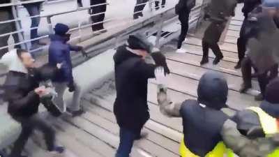 Professional protester