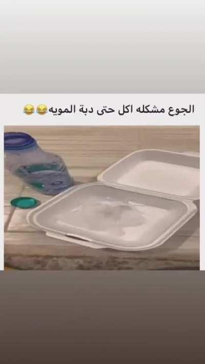 POV: Kuwaiti having his 67th meal of the day