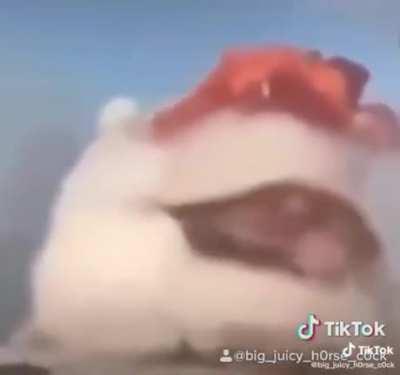 It has gone too far....