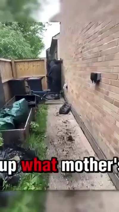 Trying to steal a bike while being filmed